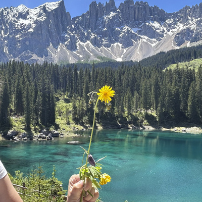 Vorschaufoto zu 20 Bozen