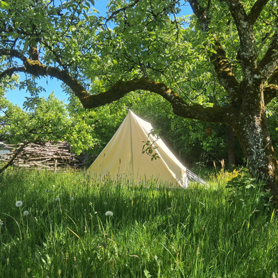 Vorschaufoto zu 15 Naturfreizeit eins in Thann