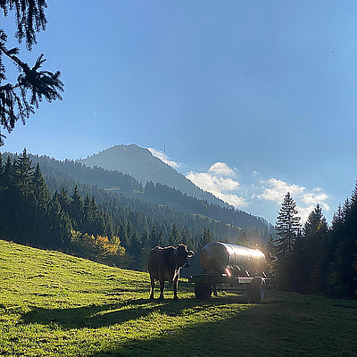 Vorschaufoto zu 50 Hüttenzauber