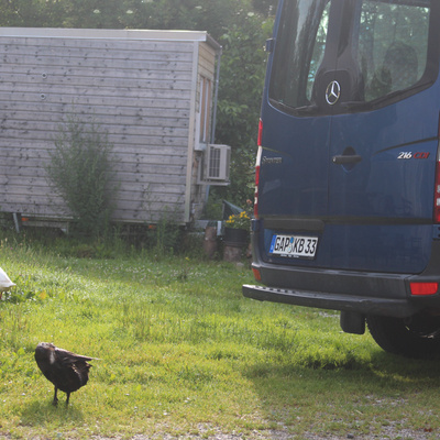 Vorschaufoto zu 45 Ton   Speckstein