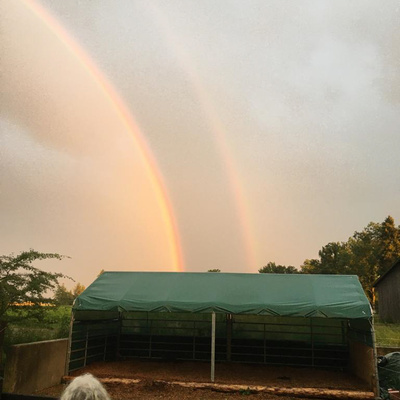 Vorschaufoto zu 43 Erlenweiherhof zwei