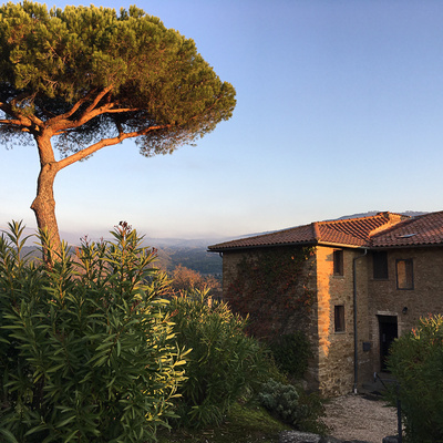 Vorschaufoto zu 69 Passalmonte im Herbst