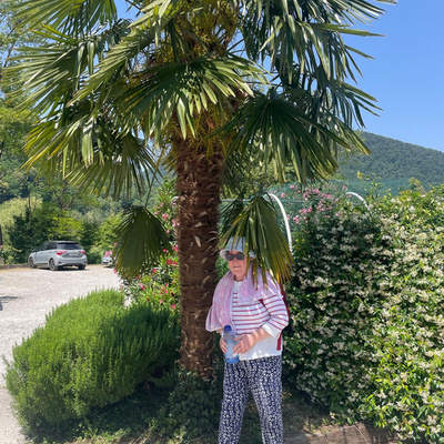 Vorschaufoto zu 24 Frühling in Slowenien