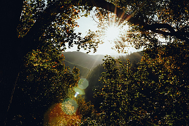 Foto zu Freizeit Harzgerode