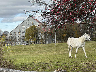 Foto zu Freizeit Wellness in Marienbad 1