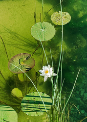 Foto zu Freizeit Naturfreizeit eins in Thann