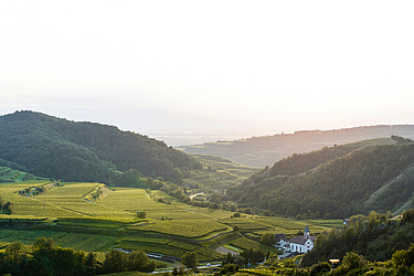 Foto zu Freizeit Frühling im Kaiserstuhl