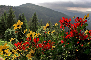 Foto zu Freizeit Villa Michelbach im Bayerischen Wald