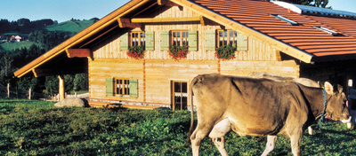 Foto zu Freizeit Hüttenzauber